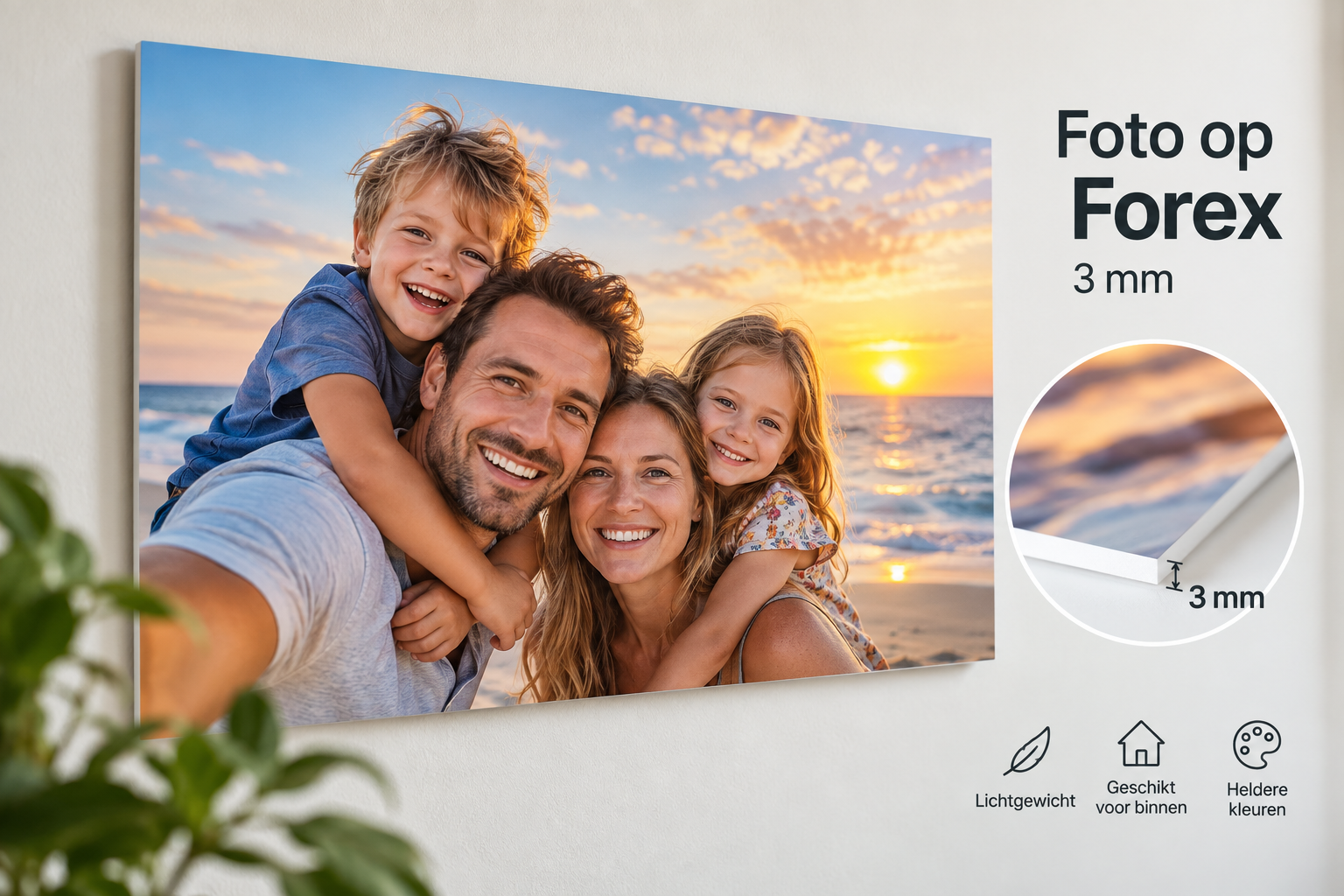 Foto op Forex